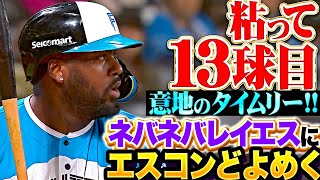 [閒聊] 不懂就問 日職官方YT影片