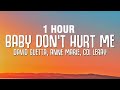 [1 HOUR] David Guetta, Anne Marie, Coi Leray - Baby Don't Hurt Me (Lyrics)