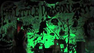 Little Dragon- Summer Tearz