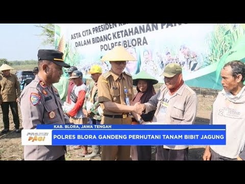 POLRES BLORA MANFAAT LAHAN KOSONG UNTUK KEBUN JAGUNG