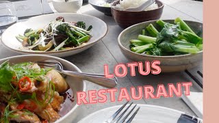 Lotus Restaurant #foodie #Sydney #Banquet #food