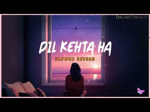 Dil Kehta Hai Slowed Reverb - Feeling Unique | Female Version | Akele Hum Akele Tum | New Hindi Lofi