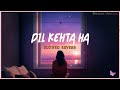 Dil Kehta Hai Slowed Reverb Feeling Unique Female Version Akele Hum Akele Tum New Hindi Lofi