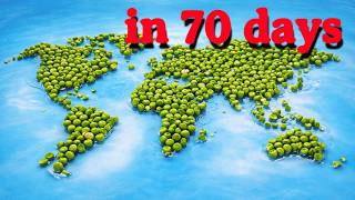 World Peas rots just like in real life Time Lapse