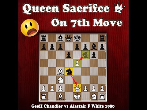 Queen Sacrifice on 7th Move | Geoff Chandler vs Alastair F White 1980