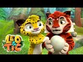 Join Leo And Tig S Funny Family For The Ultimate Summer Fun