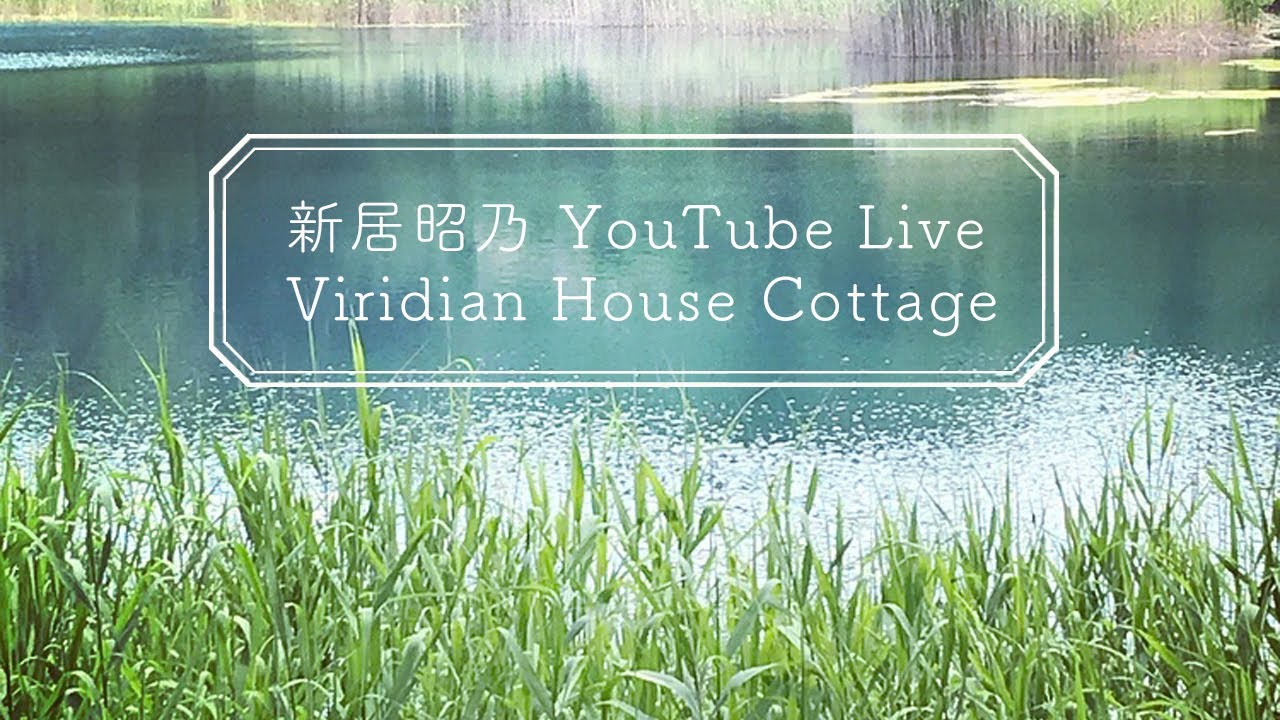 新居昭乃 YouTube Live Viridian House Cottage #31