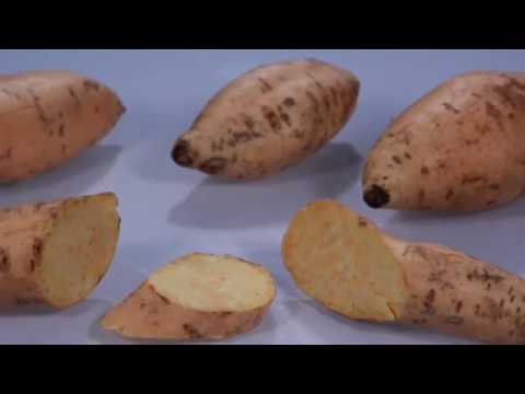 download lagu mp3 mp4 Indonesian Sweet Potato, download lagu Indonesian Sweet Potato gratis, unduh video klip Indonesian Sweet Potato
