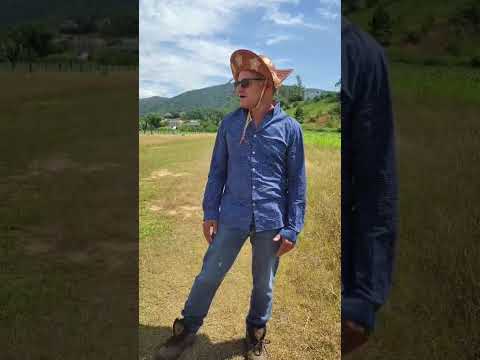 plantação em Antônio Carlos sc