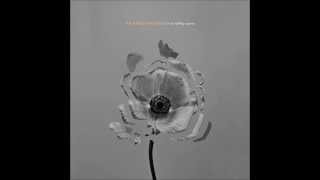 The Naked and Famous   A Stillness