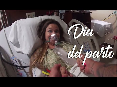 download lagu mp3 mp4 Rosme, download lagu Rosme gratis, unduh video klip Rosme