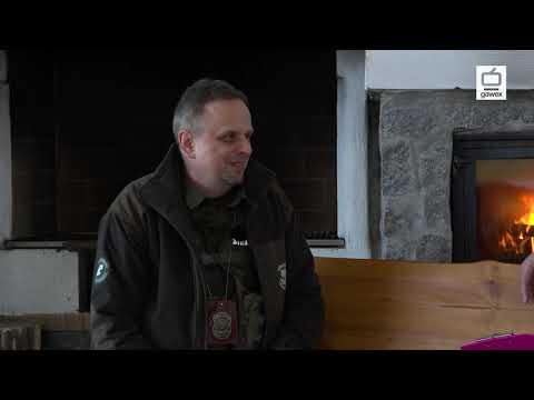 Szepty z Kniei - Straż Leśna