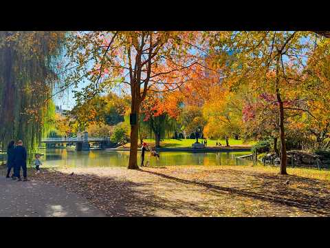 A Stunning Autumn Walk Through Boston Common 🍁 | 4K HDR