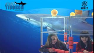 DIA 3 Expo Tiburon123