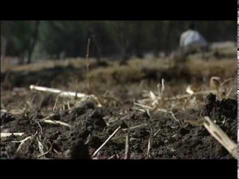 The sin trailer  el  pecado trailer thumbnail