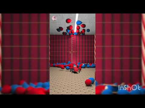 cake cutting azu mol