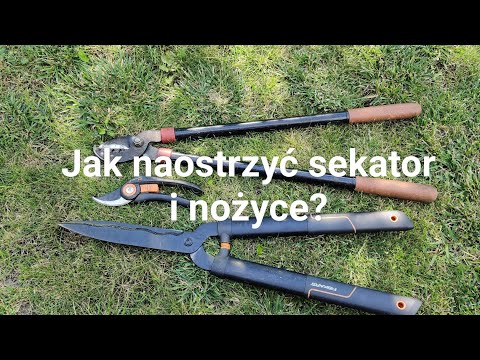 Jak naostrzyć sekator i nożyce?