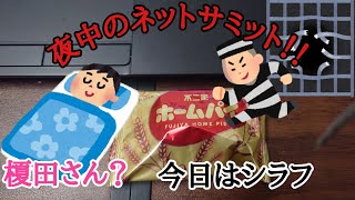 榎田さんは爆睡中！！秘密のネットサミット！！？　前島一人晩酌