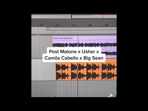 Usher Post Malone