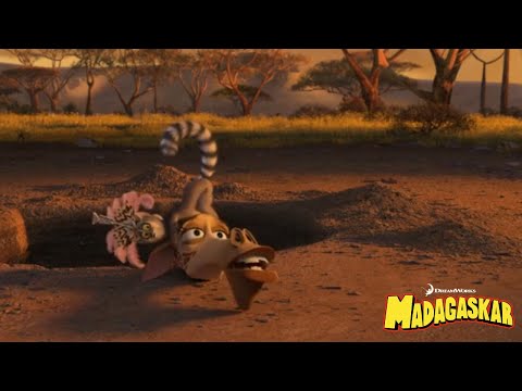 Madagaskar 2 | Król Julian Mistrzem Swatek | 7/12 PL RECENZJA