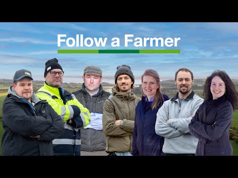 PLOFswXRB_eC87hoJhapJ8VSGg_ceNPdOr