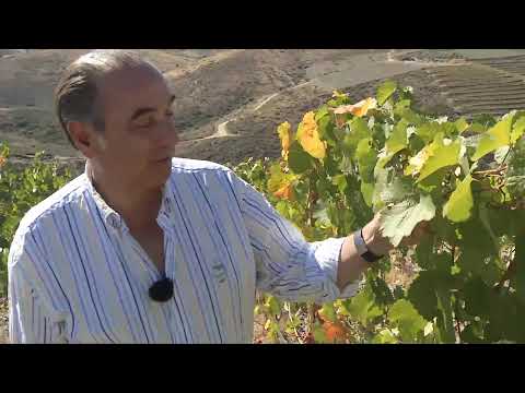 Projeto Duorum - Parte 2