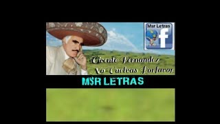 Vicente Fernández No Vuelvas Porfavor Letra Lo Mejor