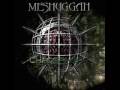 MESHUGGAH - Neurotica