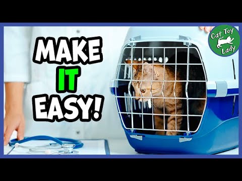 Easy Way To Get Your Cat In The Carrier