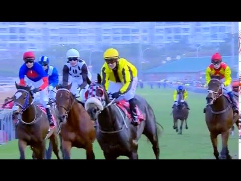 Futura - 2015 Vodacom Durban July Gr1