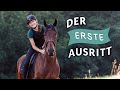 ERSTER AUSRITT Mit Meinem Jungpferd