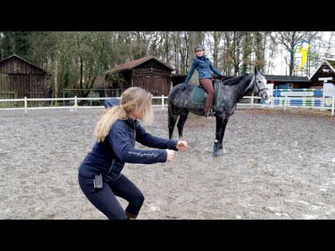 Sitzschulung für Österreicher | Falco & Bourbon Folge 16
