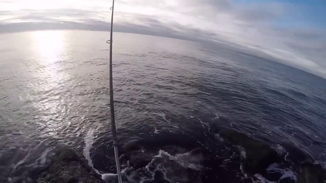 Shimano Ultegra 5500 XTD Review