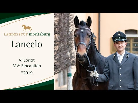 LANCELO v. Loriot - Elbcapitän