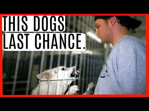 How To Fix Resource Guarding Expert Tips Video