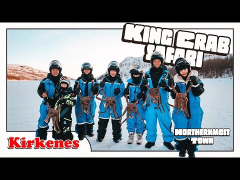 Arctic Adventure: King Crab Safari in Kirkenes, Norway! 4K