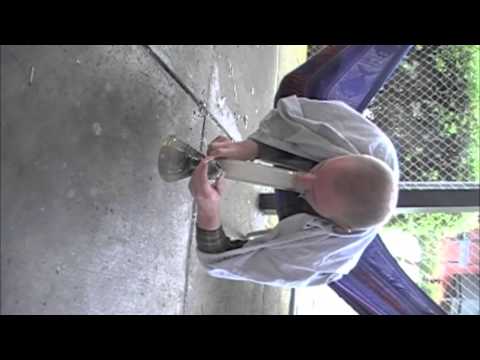 Greenlight - Taj-He-Spitz