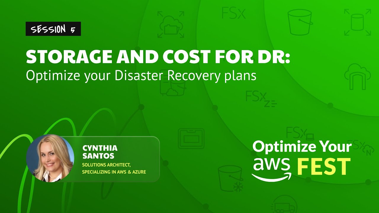 Storage + Cost for Disaster Recovery: Optimize your DR with N2WS