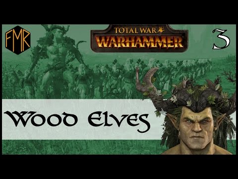 Steam Community :: Video :: Wood Elves campaign - Total War: Warhammer - #3