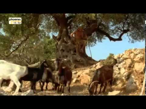 Der Kontinent Die Zähmung Europas Reportage über die Zähmung Europas Teil 1