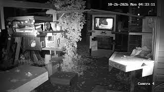 UNCC Camera 4 - feeding station + planks + condo #2 live webcam
