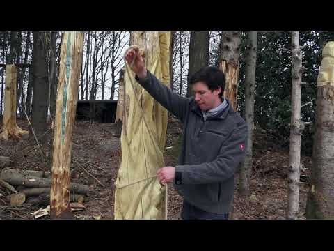 3b* Zimmermannsschlag [Festmachknoten]