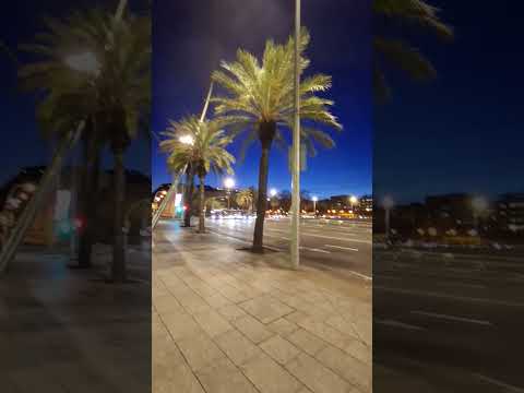 port Barcelona beautiful night 🌙 ✨️ view amazing Barcelona # tour # traveling