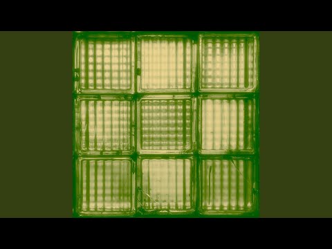 Where I Wanna Be (feat. Ryan Williams)