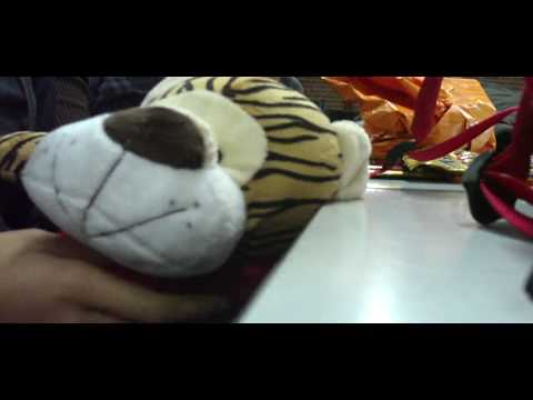 striptease del regalo de melix