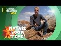 Petrified Forest National Park | Nature Boom Time | @natgeokids