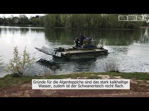 Mit Schwimmtechnik gegen Algen auf dem Schwanenteich in Mühlhausen