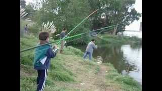 nene pescando una carpa en la usina