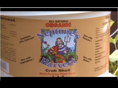 Using Neptune's Harvest Crab Shell