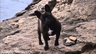 adriana varela   las cuarenta